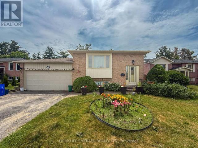 Thumbnail of 49 SANDY LANE in Angus - Image 4