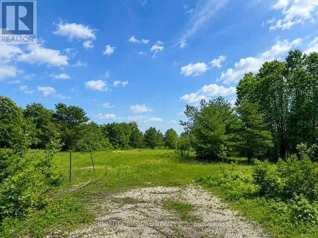 Thumbnail of 9829 10 COUNTY ROAD in Brentwood - Image 4