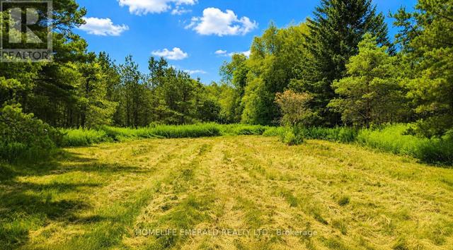 Thumbnail of 4881 ORSER STREET in Brentwood - Image 4