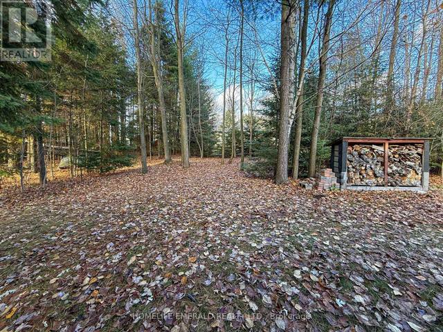 Thumbnail of 17 TREE TOP STREET in Angus - Image 46